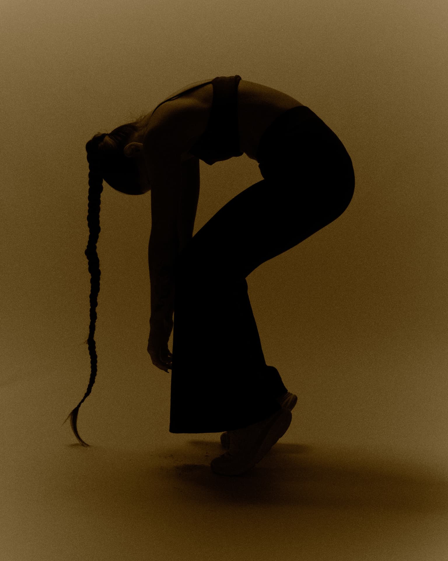 A21st — Anatomy of Movement 10, brown tones